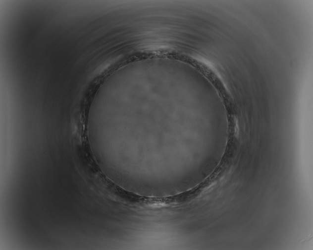 X0000089950871200706291210