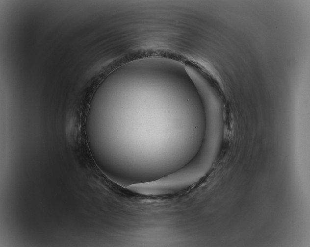 X0000089950872200706291210