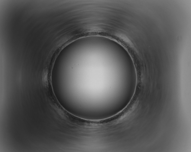 X0000089950873200706291210