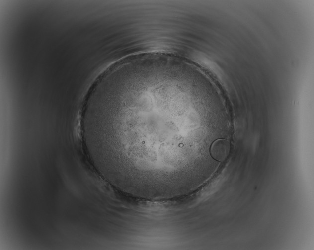 X0000089950875200706291210