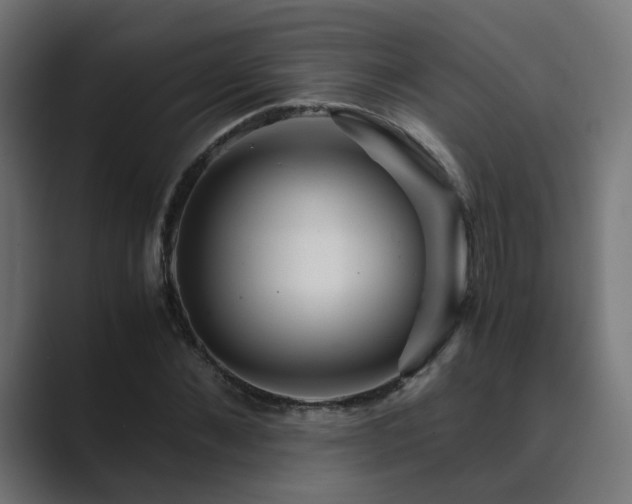 X0000089950876200706291210