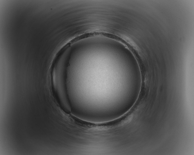 X0000089950877200706291210