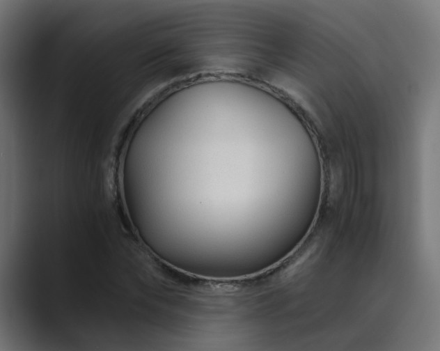 X0000089950878200706291210