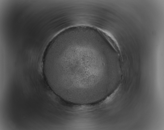 X0000089950879200706291210