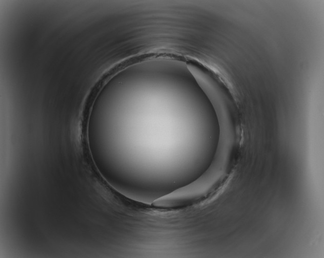 X0000089950880200706291210