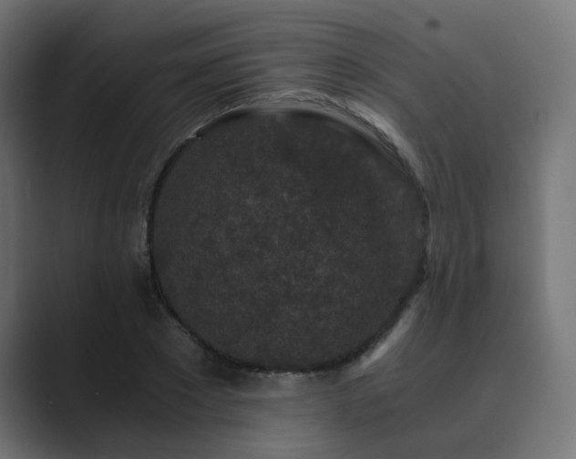 X0000089950881200706291210