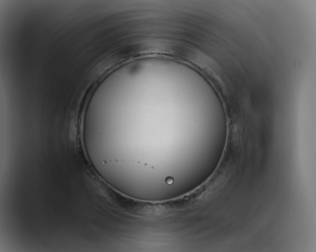 X0000089950882200706291210