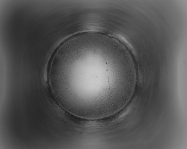 X0000089950883200706291210