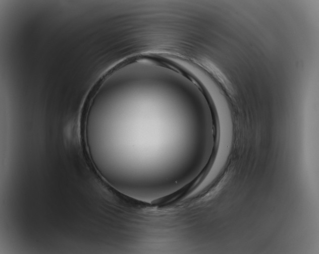 X0000089950884200706291210