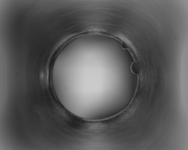 X0000089950886200706291209