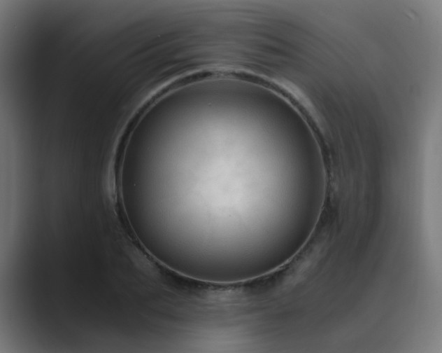 X0000089950887200706291209