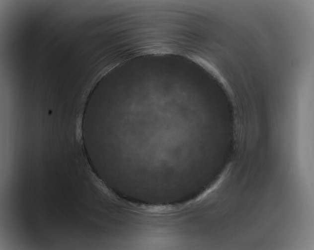 X0000089950889200706291209