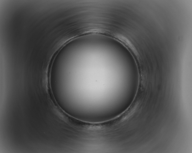 X0000089950890200706291209