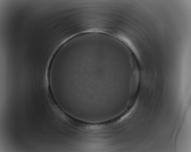X0000089950892200706291209