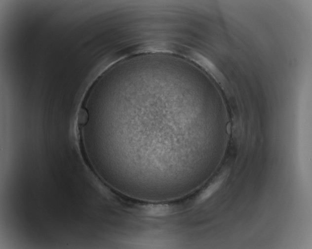 X0000089950893200706291209