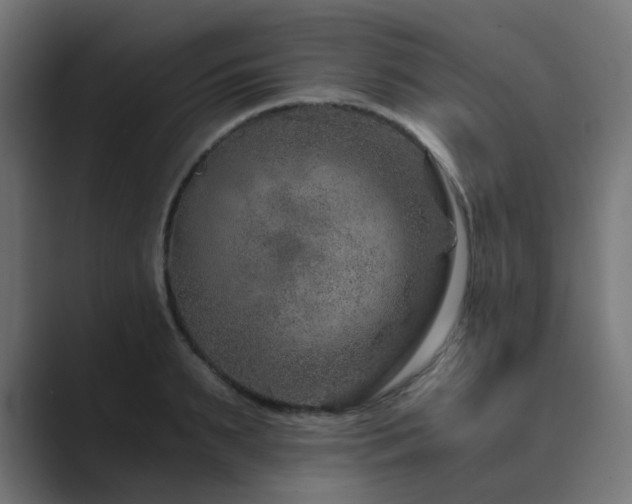 X0000089950895200706291209