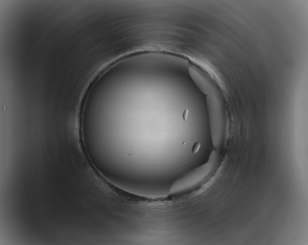X0000089950896200706291209