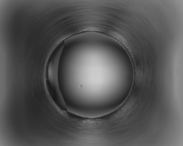 X0000089950898200706291209
