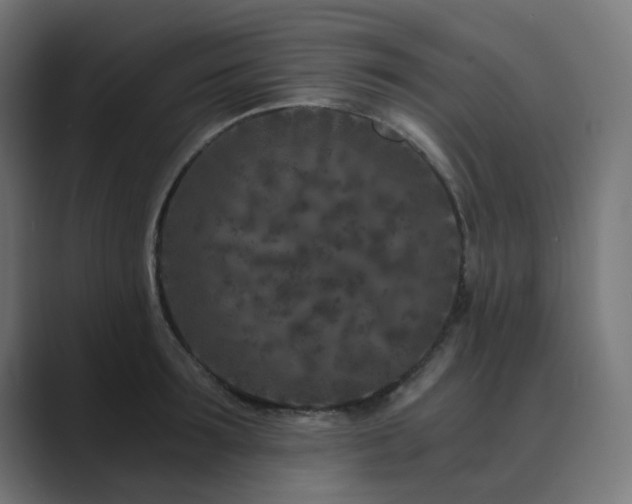 X0000089950899200706291209