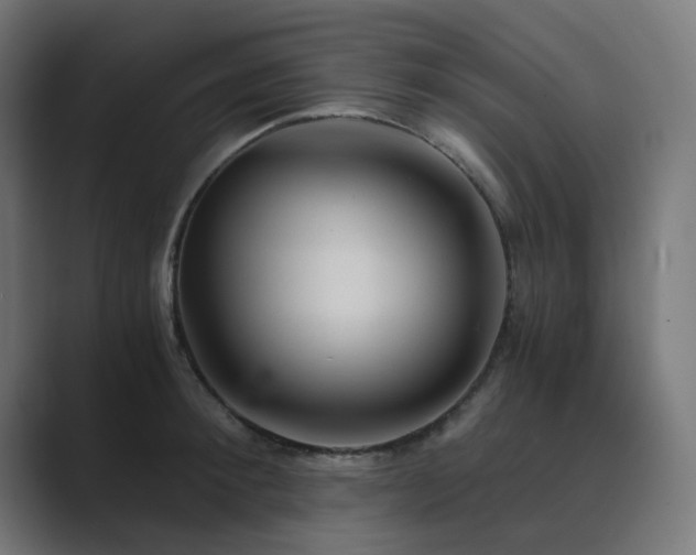 X0000089950900200706291209