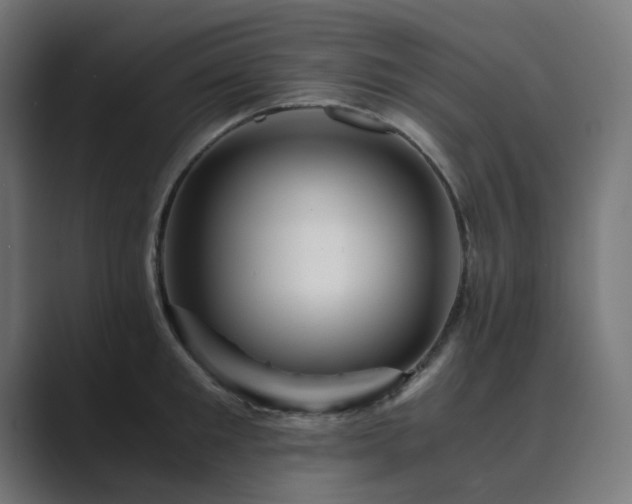 X0000089950901200706291209