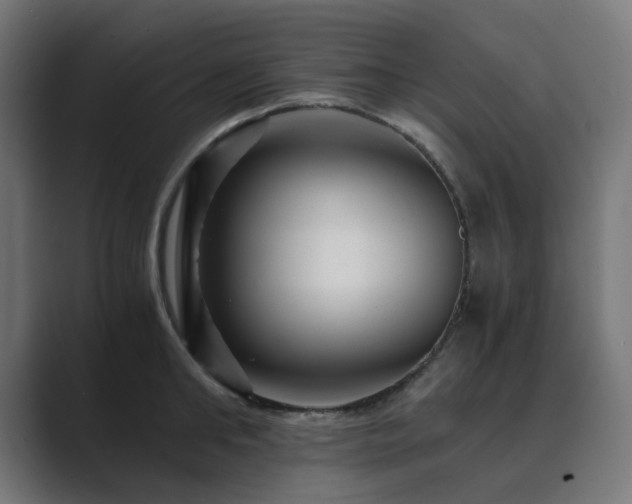 X0000089950902200706291209