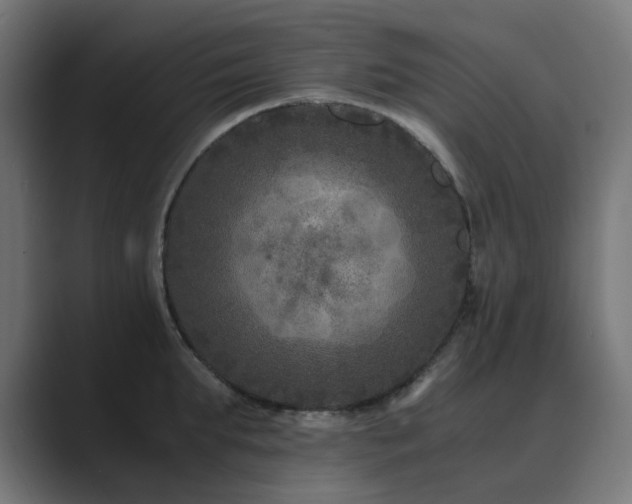 X0000089950903200706291209