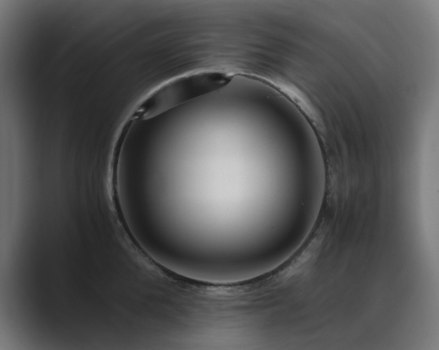 X0000089950904200706291209