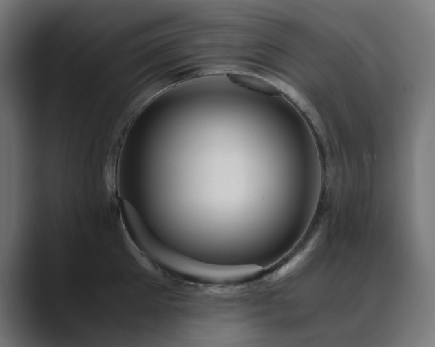 X0000089950905200706291209