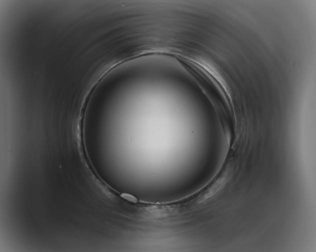 X0000089950906200706291209