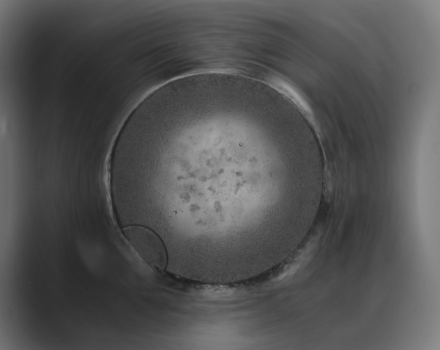 X0000089950907200706291209