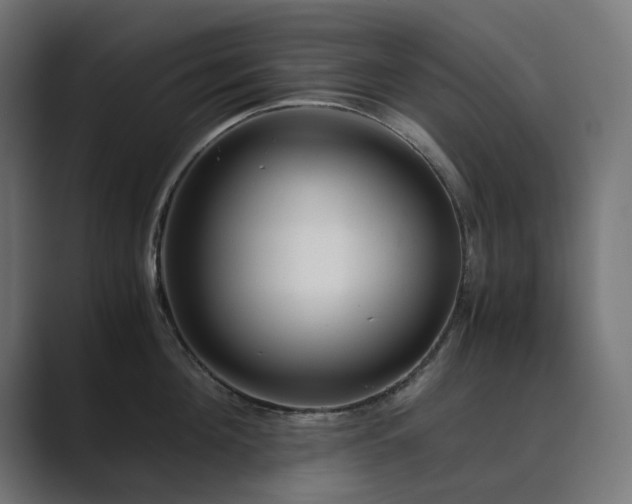 X0000089950908200706291209