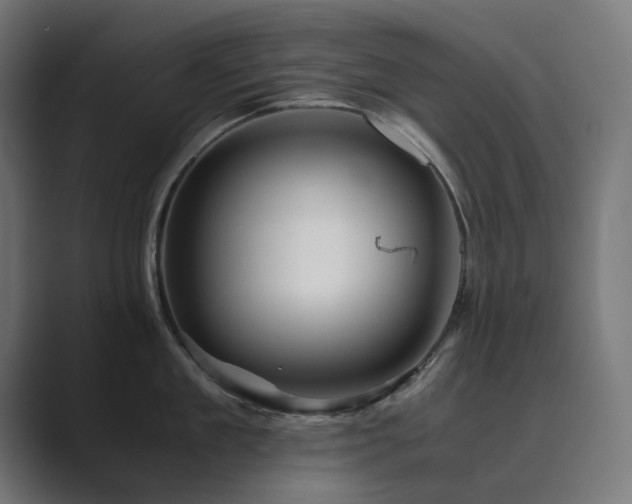 X0000089950909200706291209
