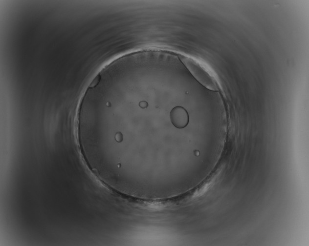 X0000089950911200706291209