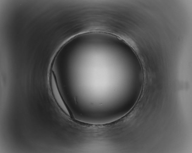X0000089950912200706291209