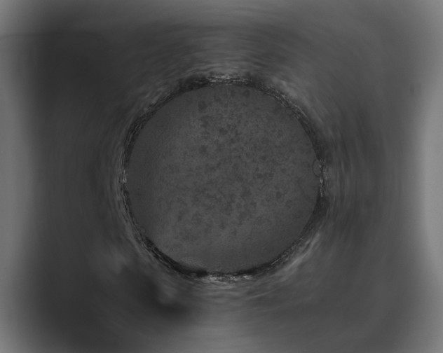 X0000089950913200706291209