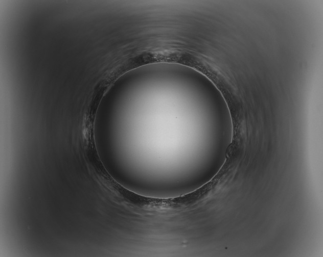 X0000089950914200706291209