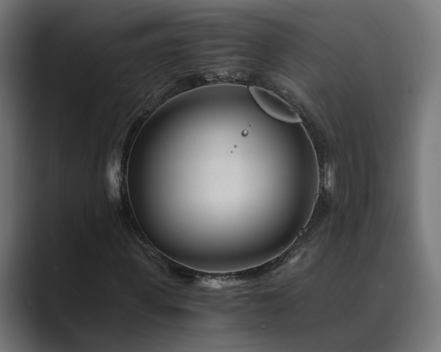 X0000089950915200706291209