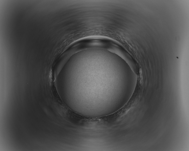 X0000089950916200706291209