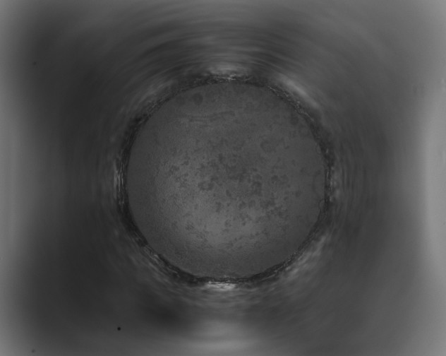 X0000089950917200706291209