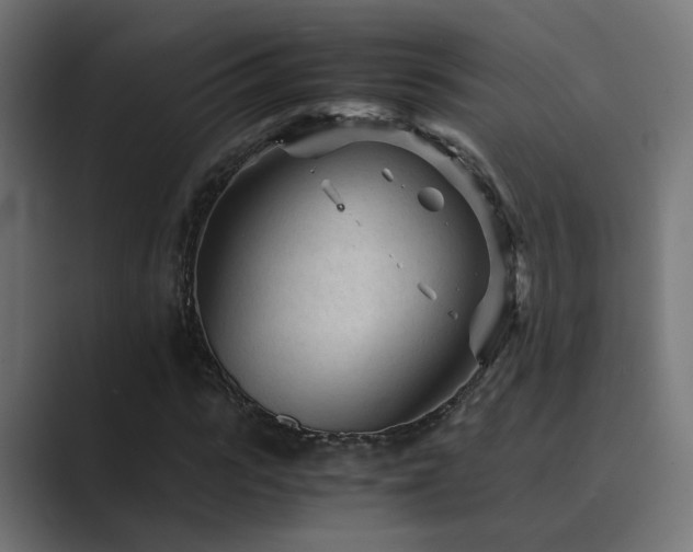 X0000089950919200706291209