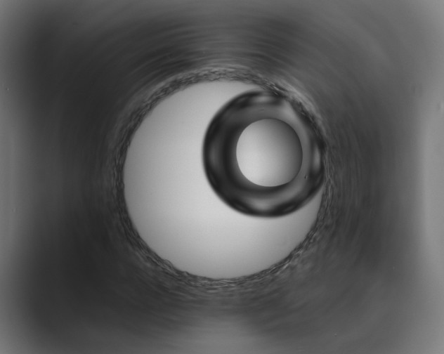 X0000089950920200706291209