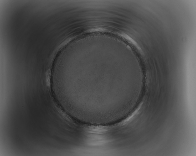 X0000089950921200706291209