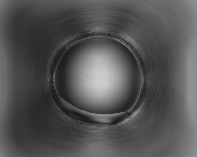 X0000089950922200706291209