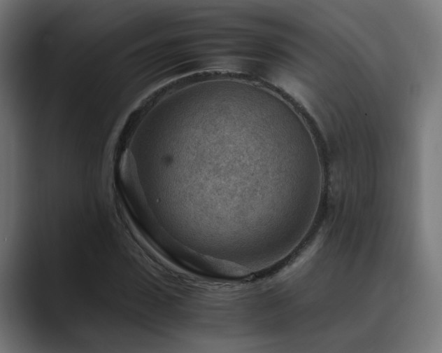 X0000089950923200706291209