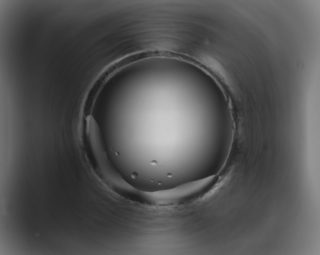 X0000089950924200706291209