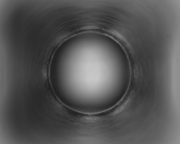 X0000089950929200706291209