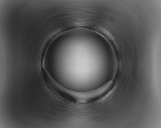 X0000089950930200706291209