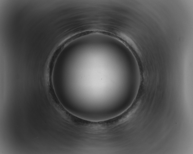 X0000089950931200706291209