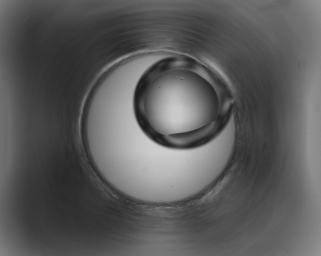 X0000089950932200706291209